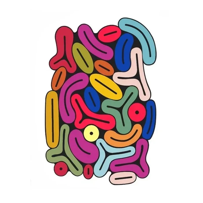 D / 80x120cm