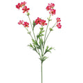 Baby Cosmos #GTC897-Dark Pink