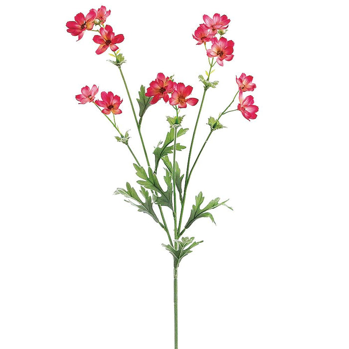 Baby Cosmos #GTC897-Dark Pink