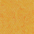 Batik Textiles #5552 - 1/2 Yard