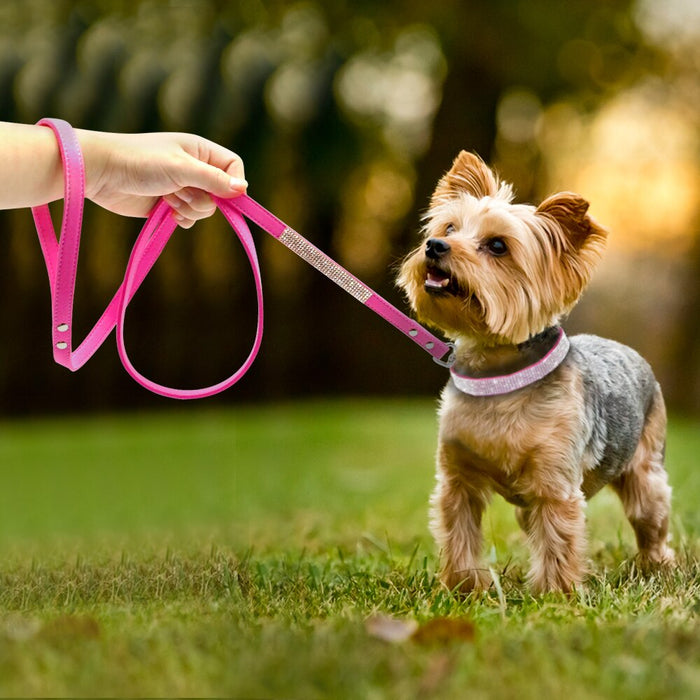 Bling Blue Suede Leash - Dogs and Horses