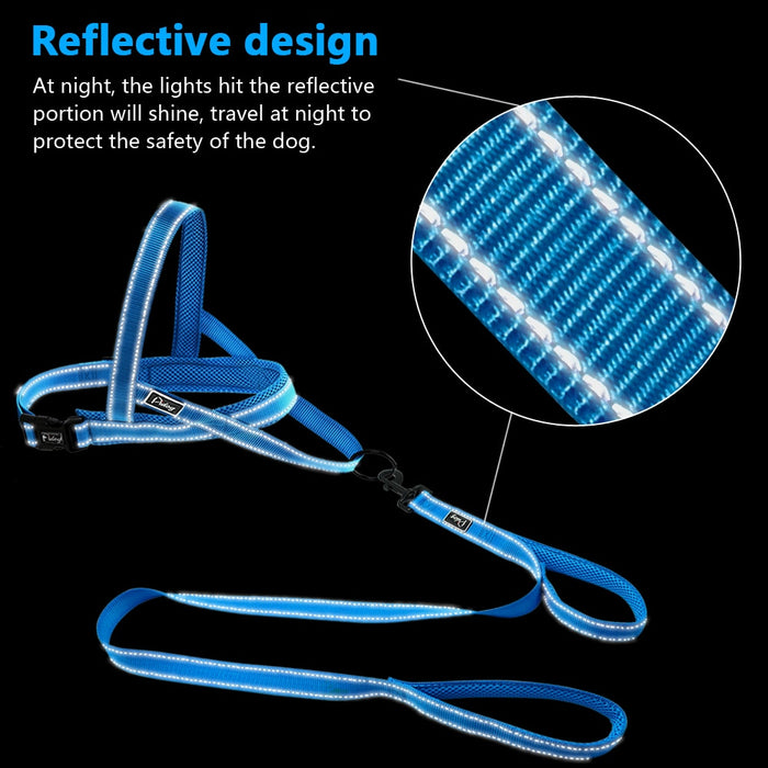 Blue No Pull Reflective Harness & Leash Set - Dogs and Horses