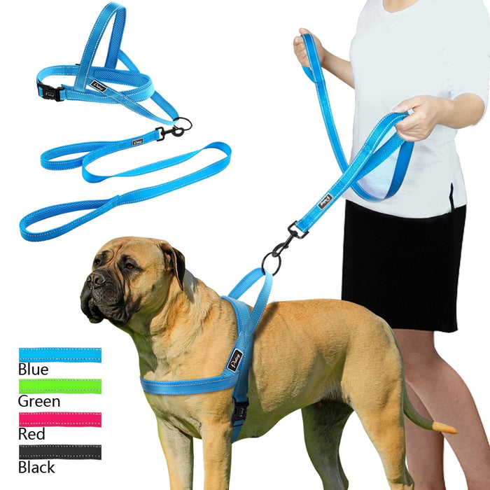 Blue No Pull Reflective Harness & Leash Set - Dogs and Horses