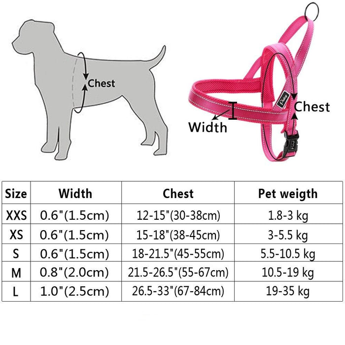 Blue No Pull Reflective Harness & Leash Set - Dogs and Horses