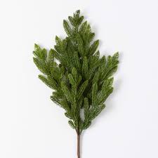 Cedar Pine Pick