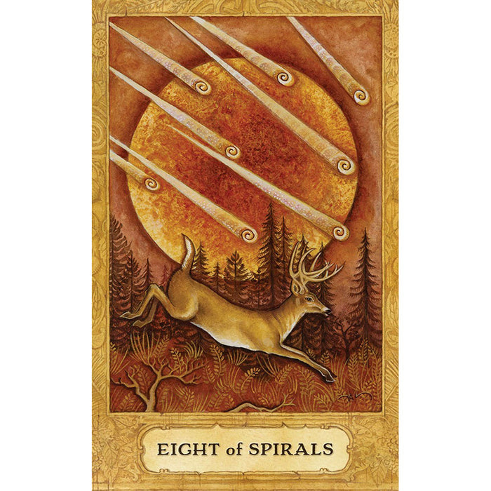 Chrysalis Tarot Deck & Book
