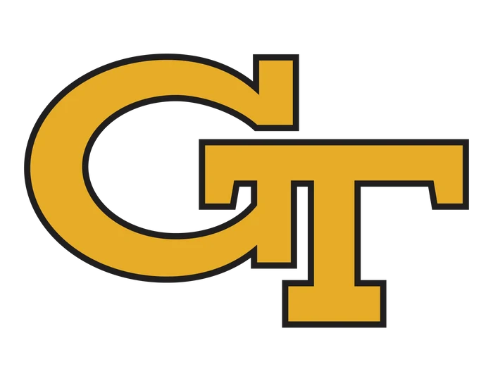 Georgia Tech Yellow Jackets / Magnet