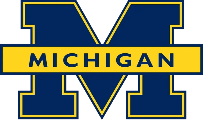 Michigan Wolverines / Magnet