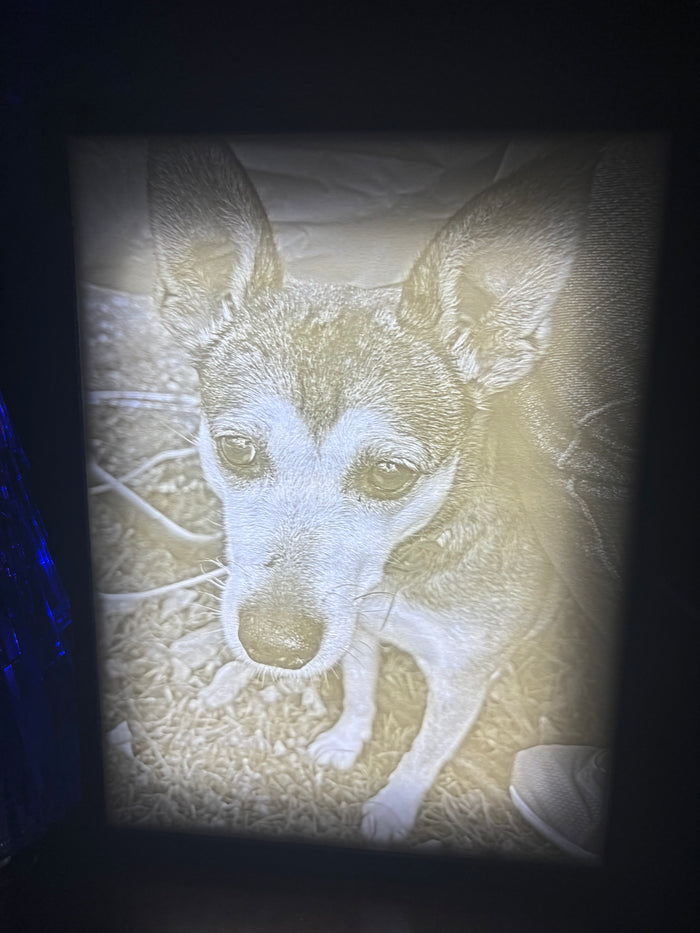 Custom 3D Photo Lithophane w/ LED