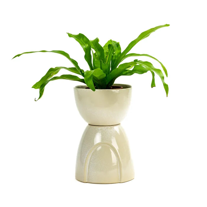 Echo Footed Bowl