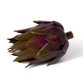 Faux Artichoke | Green Brown - Suzie Anderson Home