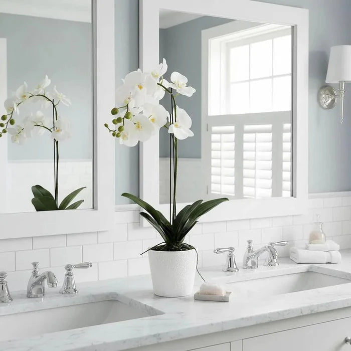 Faux Orchid in Clay Pot | White | 84cm - Suzie Anderson Home
