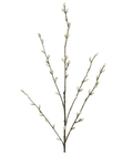 Faux Pussy Willow Spray | Cream | H100 x W40 x D4cm - Suzie Anderson Home