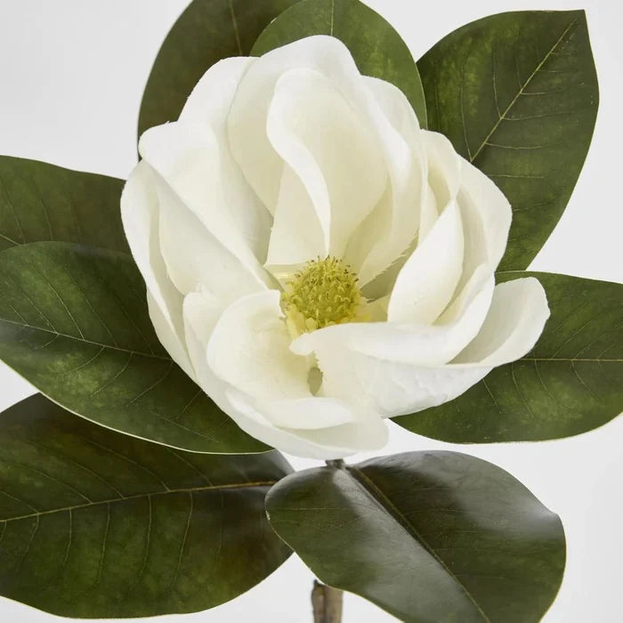 Faux Single Head Magnolia White 70cm - Suzie Anderson Home
