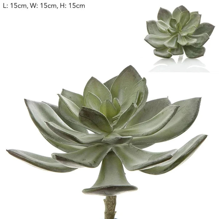 Faux Succulent Pearl Pick 15cm Grey - Suzie Anderson Home