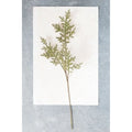 Flocked Cedar Spray