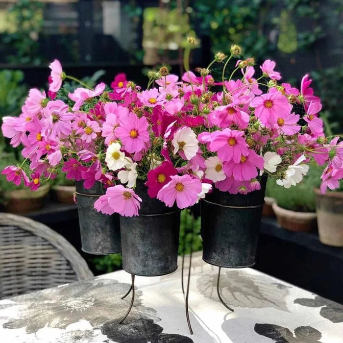 French Tin Centrepiece | Large | Indoor/Outdoor - Suzie Anderson Home