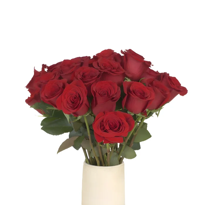 Fresh Freedom Red Roses Vase - Image