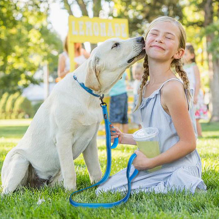 Green No Pull Reflective Leash - Dogs and Horses