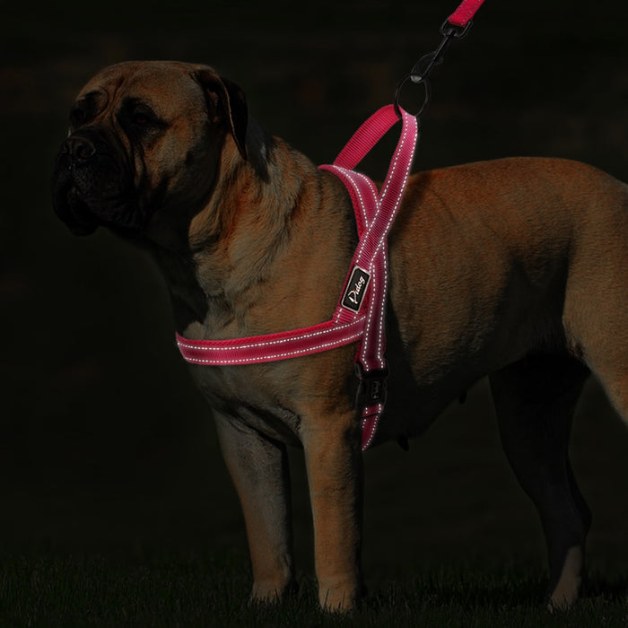 Green No Pull Reflective Leash - Dogs and Horses