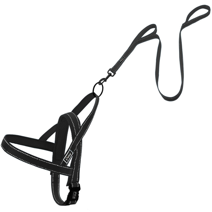 Green No Pull Reflective Leash - Dogs and Horses