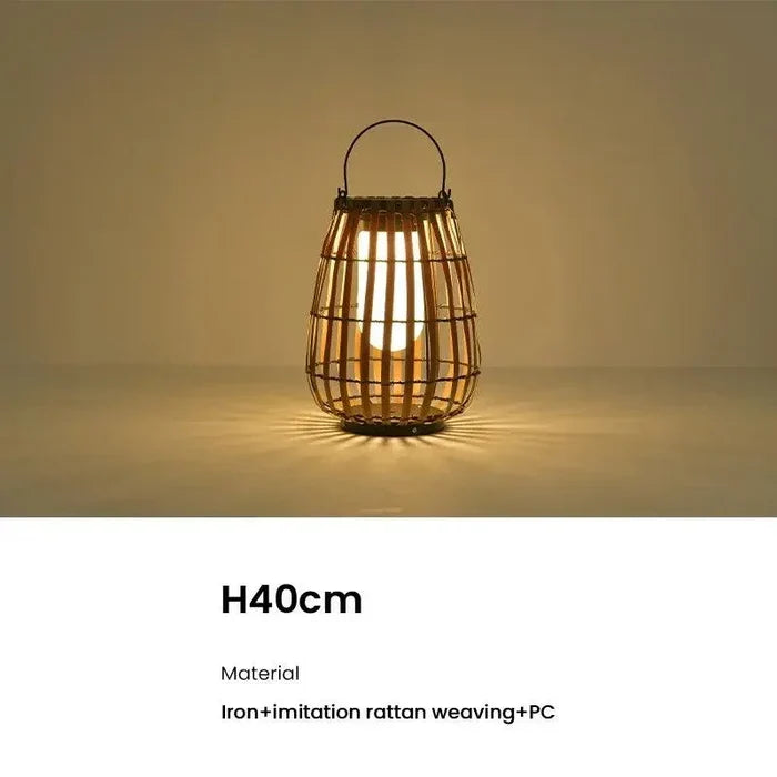 solar energy-60cm