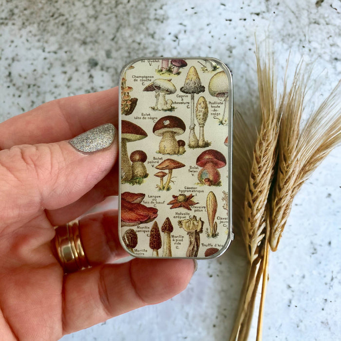 Mushroom Storage Tin: Small