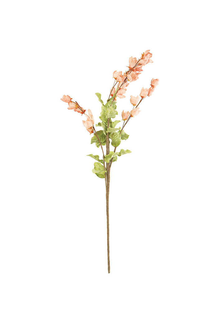 Pink Petal Botanica
