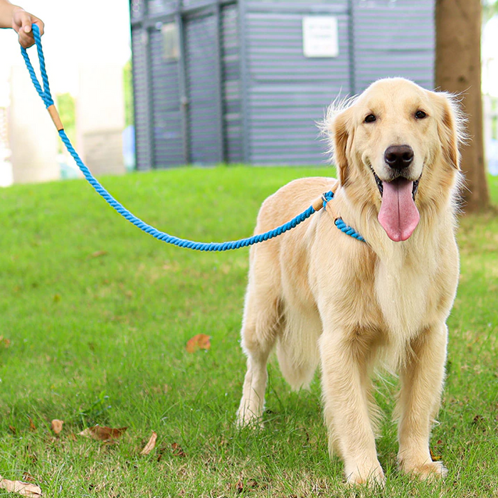 Pink Rope Slip Leash & Collar - Dogs and Horses