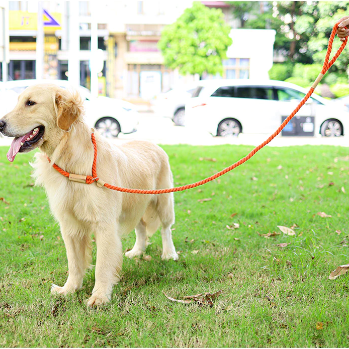Pink Rope Slip Leash & Collar - Dogs and Horses