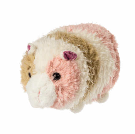 Pipsqueak Guinea Pig #38123