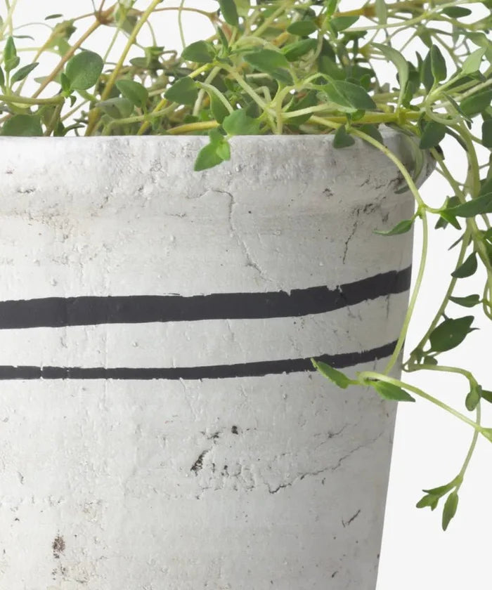 Portugal Herb Pot | Small - Suzie Anderson Home