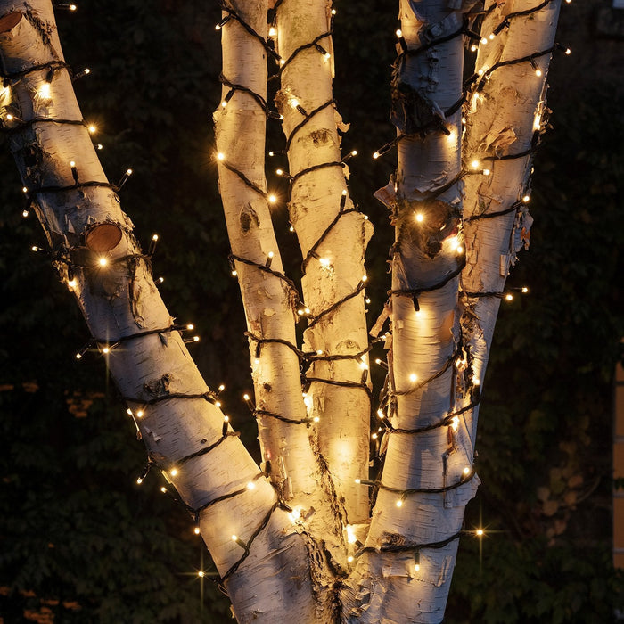 PR50CYWB_Warm-White-Christmas-Tree-Lights-Outdoor-Close_c926b9c8-6e7d-46a9-84db-e596fa0b5ed2.jpg
