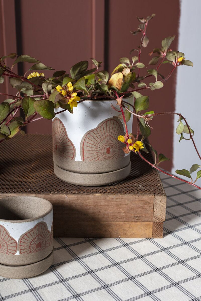 Protea Pot