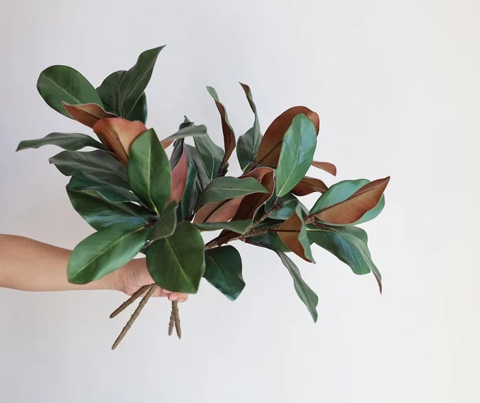 Real Touch Magnolia Stem