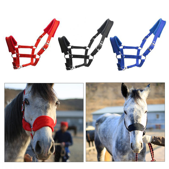 Red Padded Halter / Headcollar - Dogs and Horses