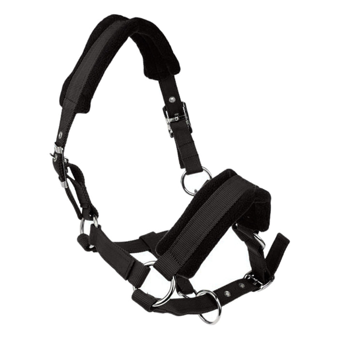 Red Padded Halter / Headcollar - Dogs and Horses