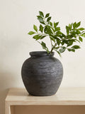Black vase with green plant on a wooden surface against a light background