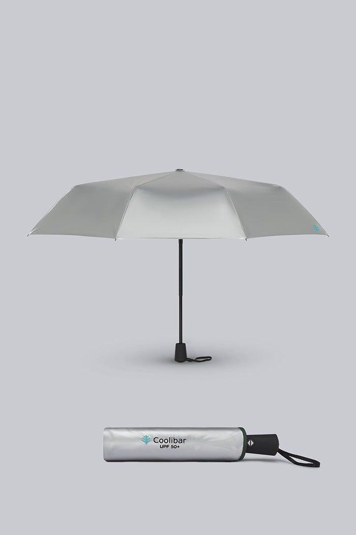 Color_Silver
