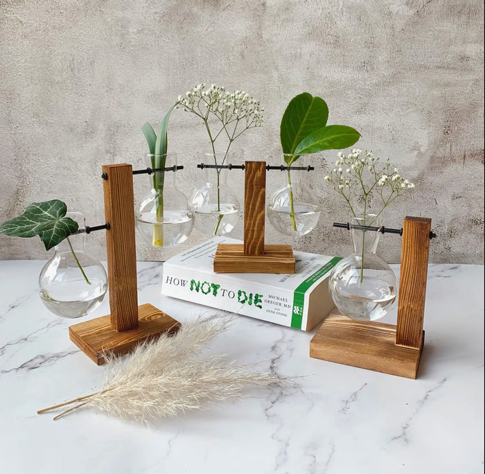 Single Glass bulb Planter with Wooden stand