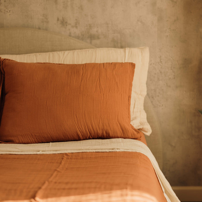 Standard Pillow Shams - Retiring Colors (Set of 2)