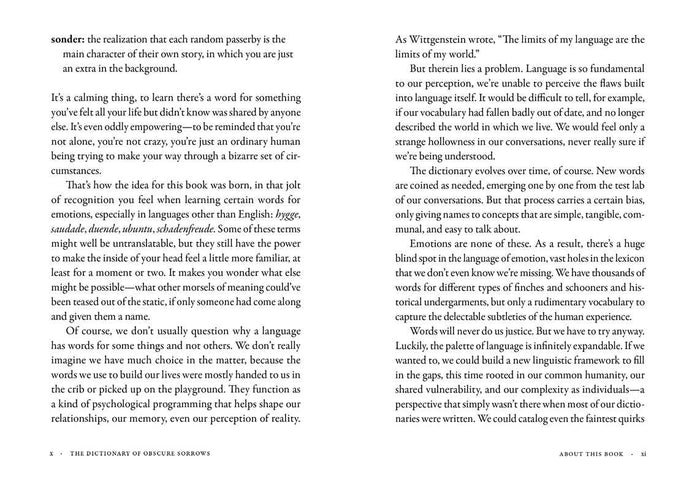 The Dictionary of Obscure Sorrows, by John Koenig
