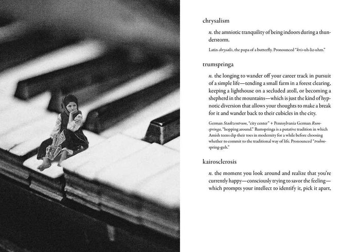 The Dictionary of Obscure Sorrows, by John Koenig