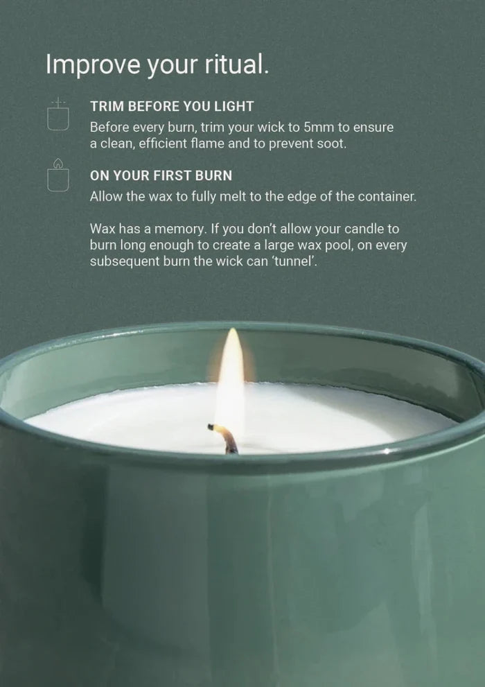 Therapy® Garden Candle | Wild Mint & Lime | 260g - Suzie Anderson Home