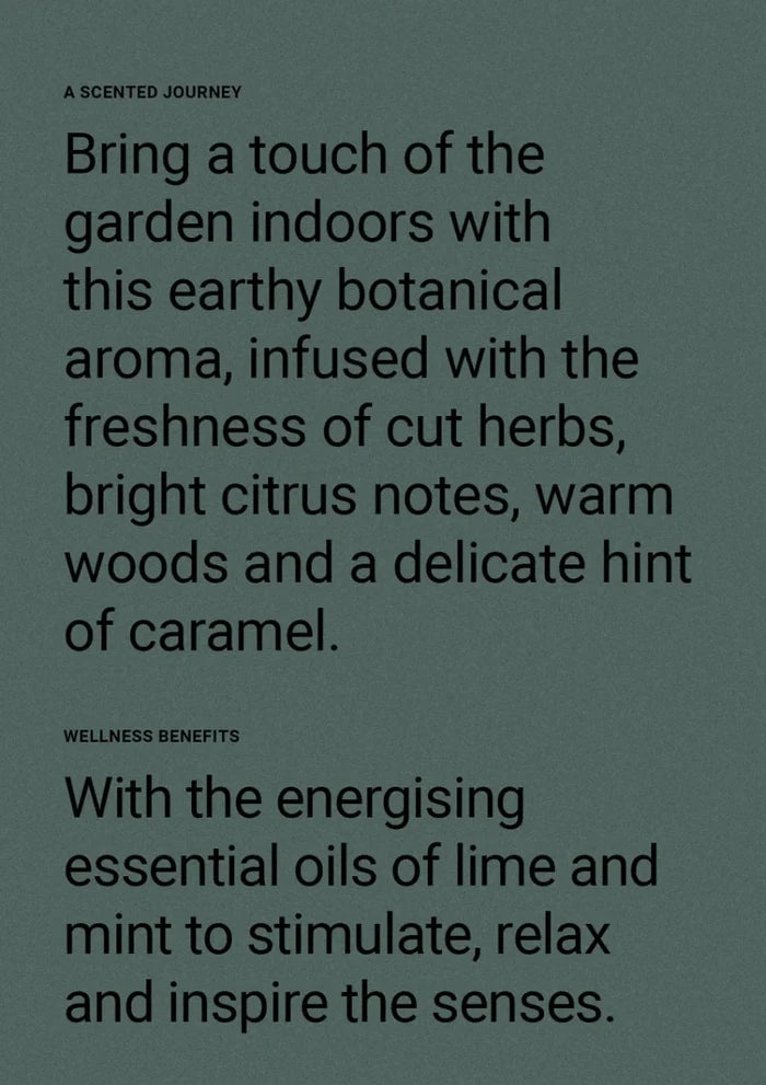 Therapy® Garden Hand & Body Lotion | Wild Mint & Lime - Suzie Anderson Home