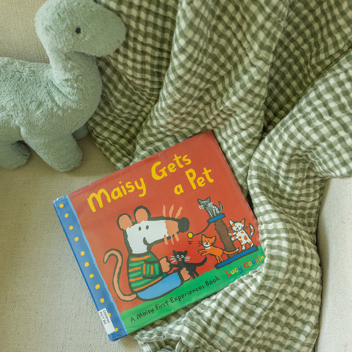 Toddler 365 Blanket - Gingham