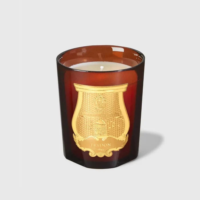 Trudon Cire Classic Candle | 270g | Beeswax Absolute - Suzie Anderson Home