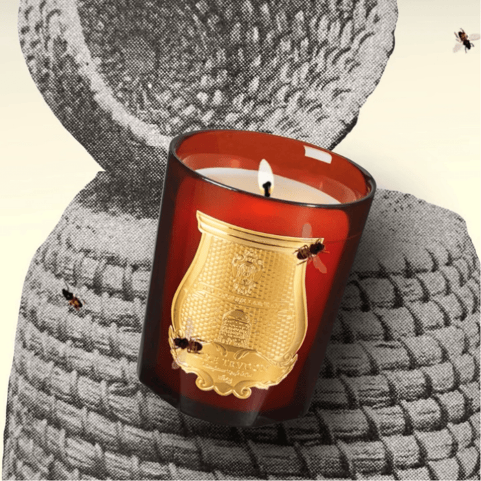 Trudon Cire Classic Candle | 270g | Beeswax Absolute - Suzie Anderson Home