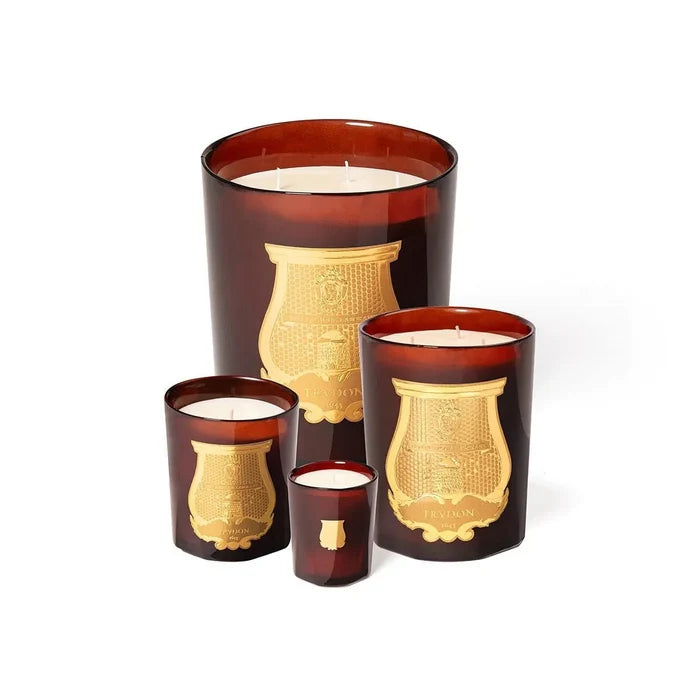 Trudon Cire Classic Candle | 270g | Beeswax Absolute - Suzie Anderson Home