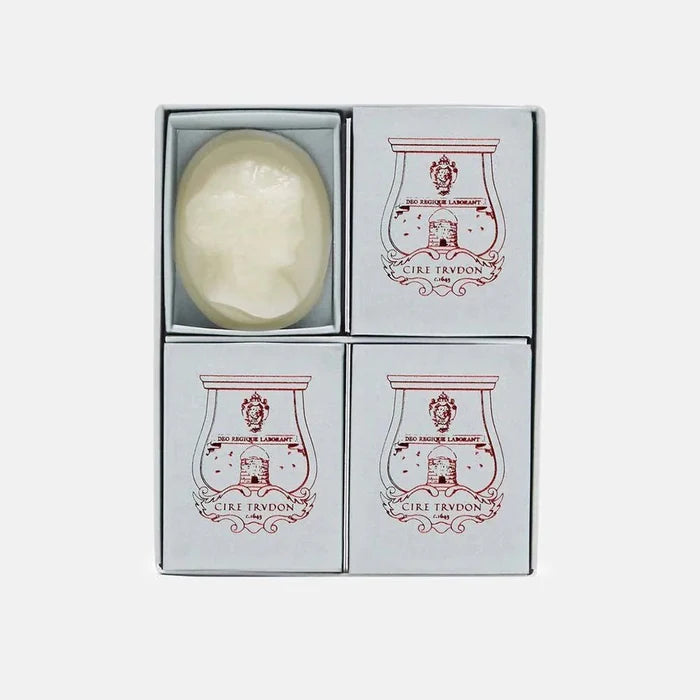 Trudon Gabriel Scented Cameos | 4 Pack | Gourmand Chimney Fire - Suzie Anderson Home